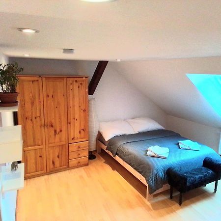 Apartman Penelope Žatec Buitenkant foto