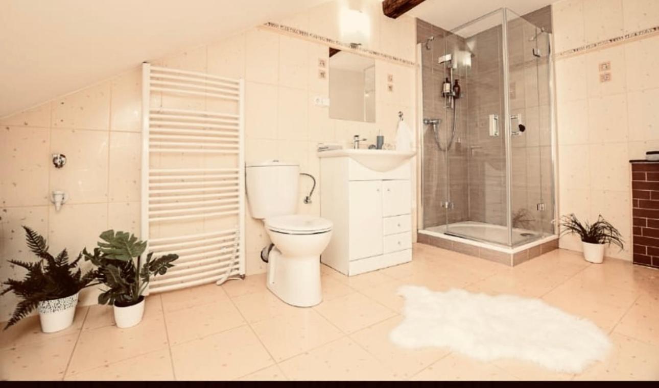 Apartman Penelope Žatec Buitenkant foto